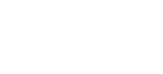 elite rifle