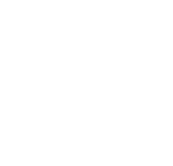 p250 rifle
