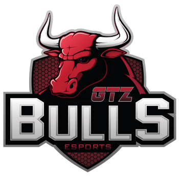 Team logo.