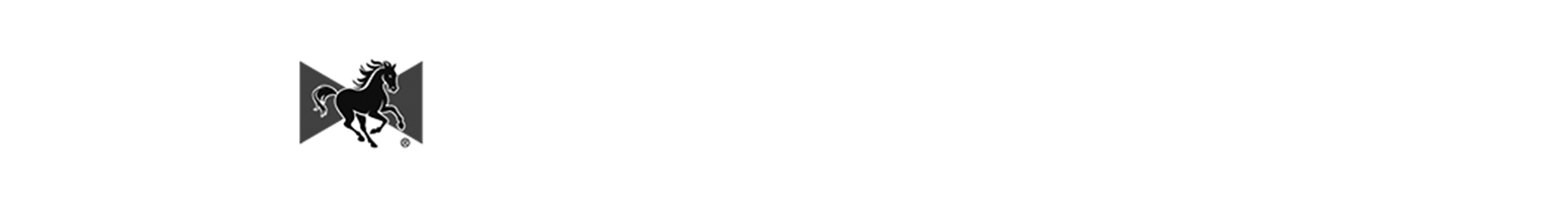 Sponsor placeholder